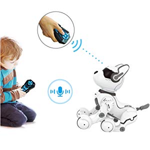 Remote control robot for kids