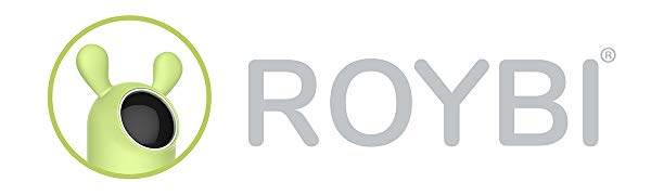 Roybi Robot