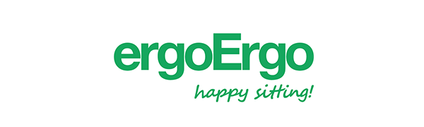 ergoergo flex seating